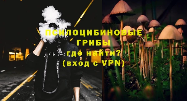 трава Абаза