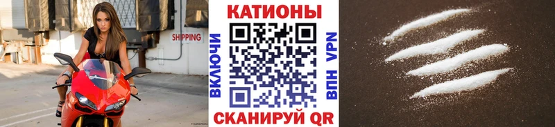 ссылка на мегу маркетплейс Эртиль это состав МЯУ-МЯУ VHQ